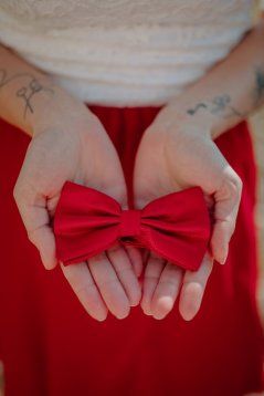 Pánský motýlek - bordový