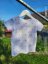 Children's T-shirt - anchors