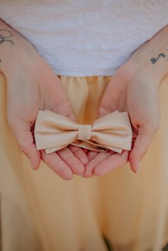 Pánský motýlek - zlatý