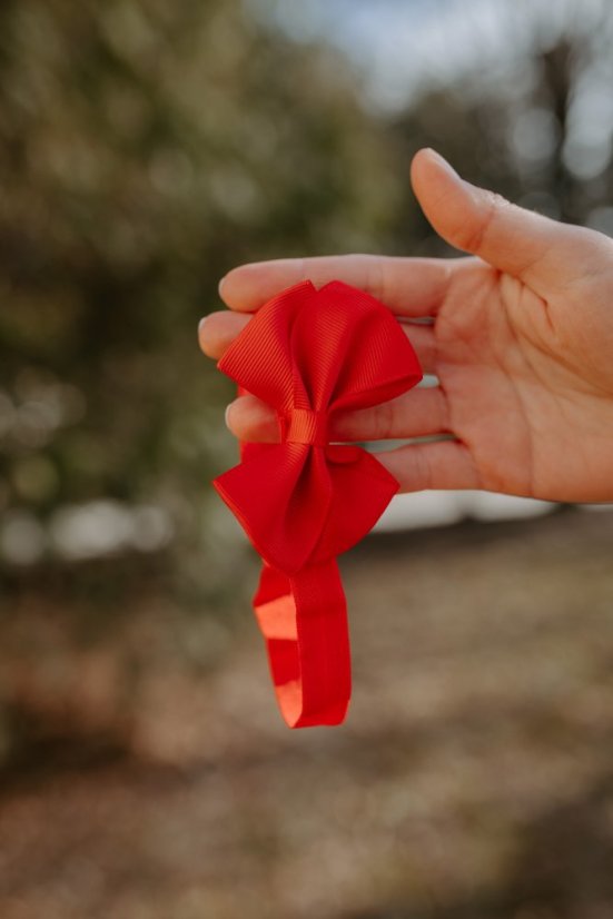 Headband/Hair Tie with Bow – Painted Meadow